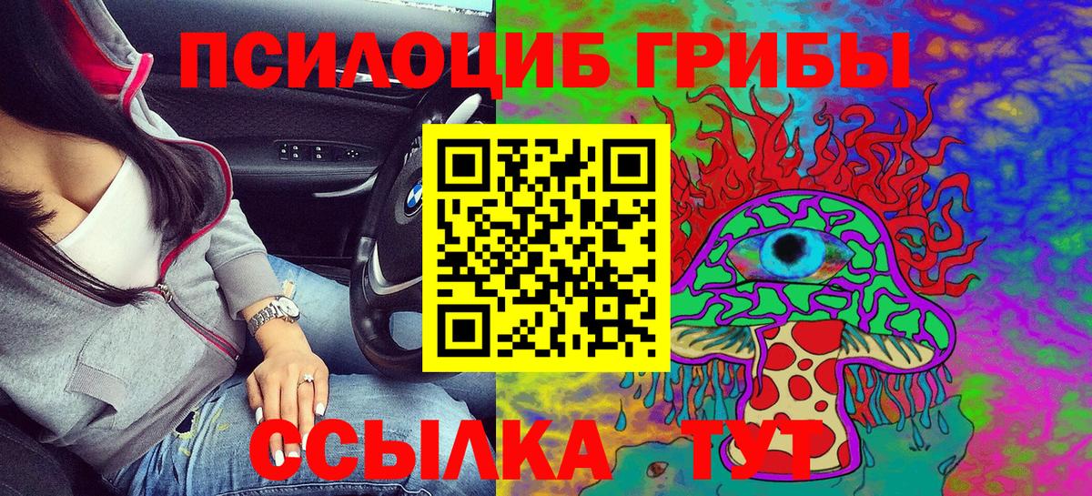 Псилоцибиновые грибы мицелий Ижевск