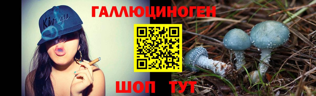 Галлюциногенные грибы Magic Shrooms  как найти наркотики  Ижевск  Вход с VPN 